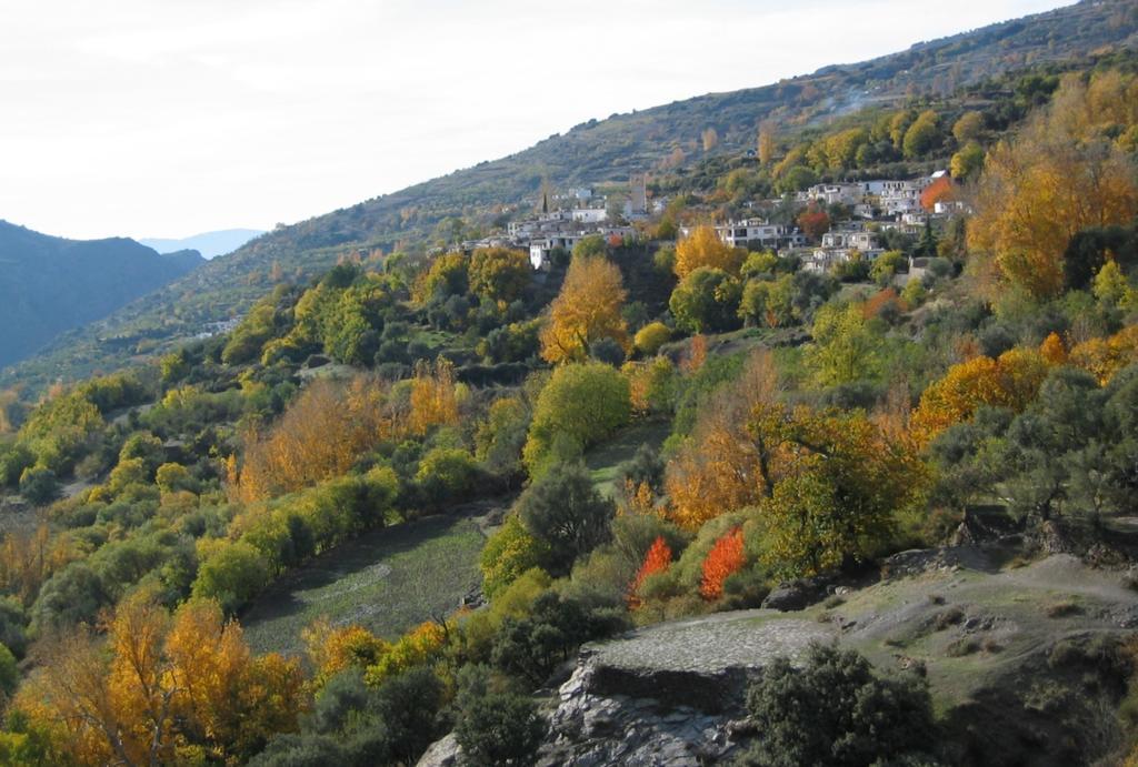 לינה וארוחת בוקר Ferreirola Sierra Y Mar מראה חיצוני תמונה