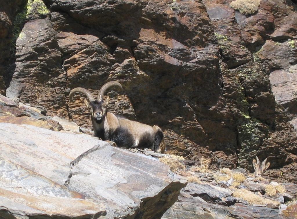 לינה וארוחת בוקר Ferreirola Sierra Y Mar מראה חיצוני תמונה