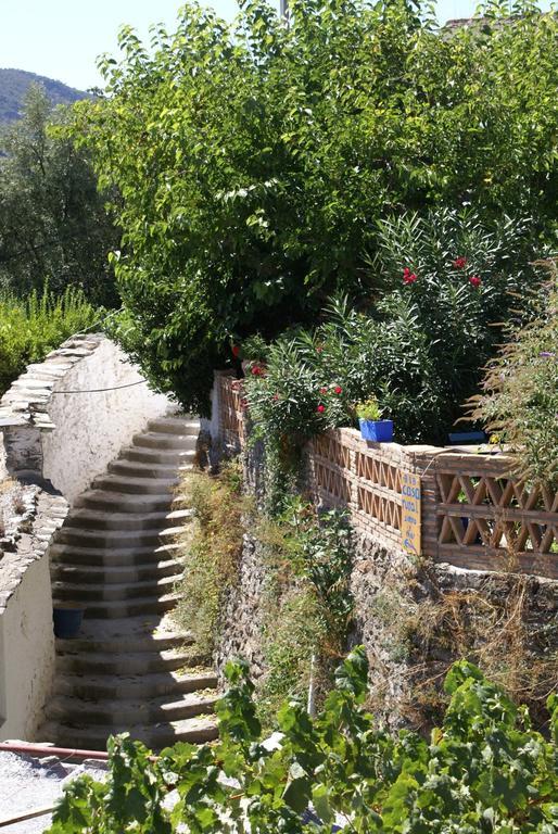 לינה וארוחת בוקר Ferreirola Sierra Y Mar מראה חיצוני תמונה