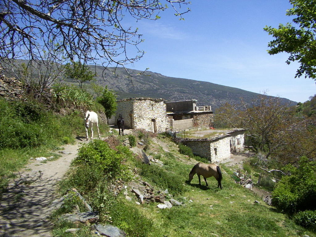 לינה וארוחת בוקר Ferreirola Sierra Y Mar מראה חיצוני תמונה